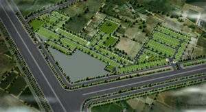 Oyster-Greens-3-770x420.jpg