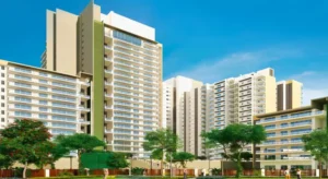Untitled-design-10-770x420.jpg